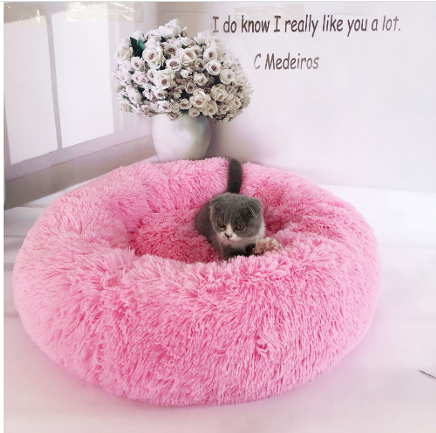 Comfy Calming Pet Bed